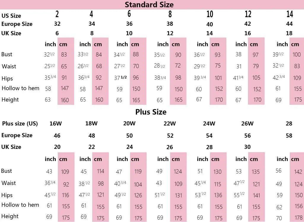 Mother of The Bride Dresses with Sleeves Lace V Neck Evening Dresses for Women Chiffon Long Formal Gowns