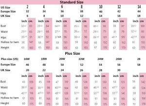 Mother of The Bride Dresses with Sleeves Lace V Neck Evening Dresses for Women Chiffon Long Formal Gowns